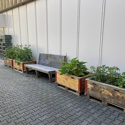 Gemeinsam grün – Urban Gardening in der Fliegerwerkstatt