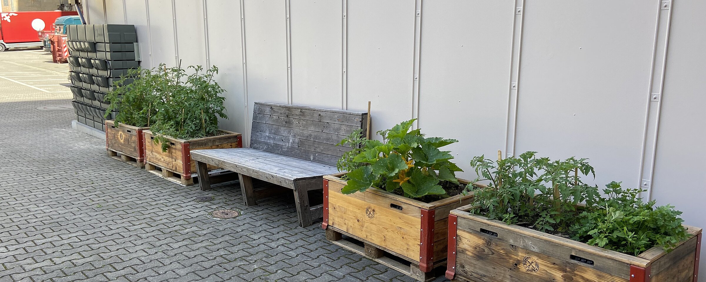 Hochbeet aus Holz mit Gemüse von der Fliegerwerkstatt am Flughafen Tempelhof, dazwischen steht eine Holzbank