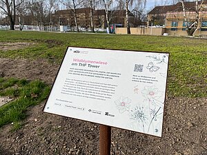 Hinweisschild zur Wildblumenwiese am THF TOWER.
