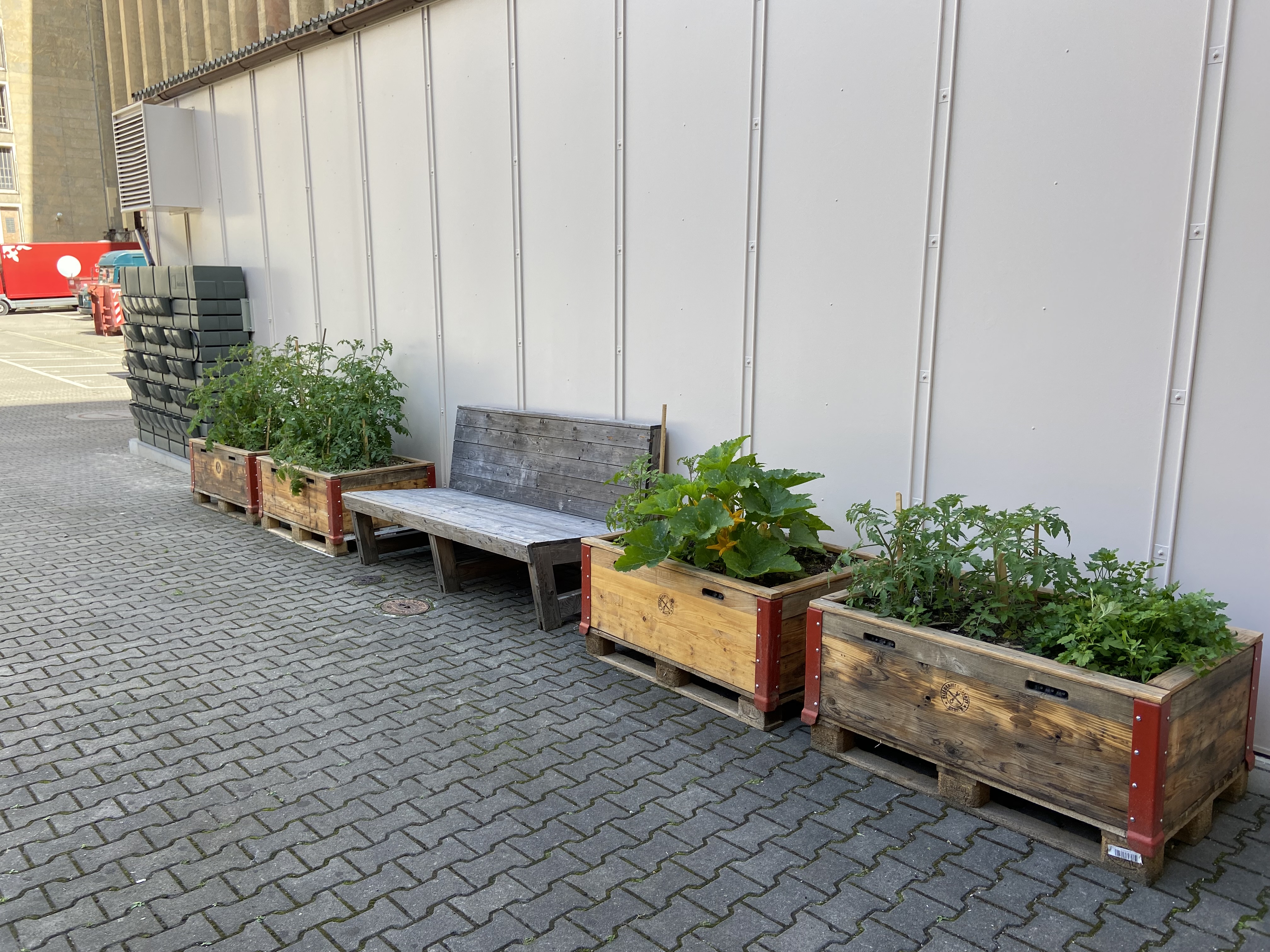 Hochbeet aus Holz mit Gemüse von der Fliegerwerkstatt am Flughafen Tempelhof, dazwischen steht eine Holzbank